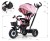 Milly Mally Rowerek Trójkołowy Movi Black-Pink