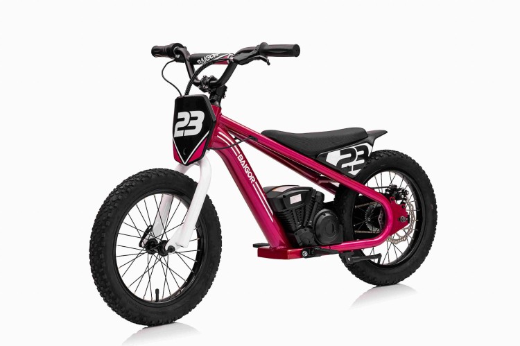 Motor Na Akumulator BAIGOR 23 PRO Różowy