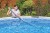 Zestaw Do Czyszczenia Basenu Bestway 58831